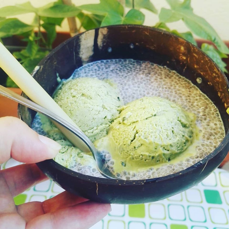 Home Made Matcha Ice cream J okini Products From Japan