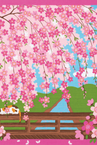 50cm Furoshiki Neko Hanami