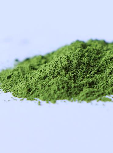 Ceremonial Grade Matcha | Uji Midori 20g
