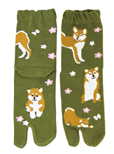 Tabi socks | Hana Shiba