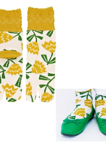 Tabi socks | Matsuyoigusa