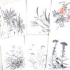 Vintage Showa-era Sumi-e postcard with traditional Japanese ink painting, aged paper, and natural yellowing, available as a free collectible item.